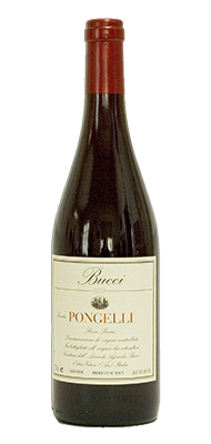 Italie Bucci Copia di Pongelli