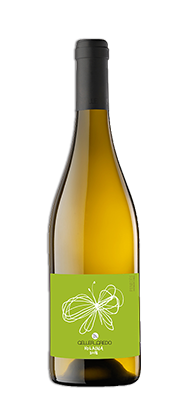 a spanje recaredo volaina correct